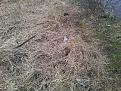 Нажмите на изображение для увеличения.

Название:	20140302_085652.jpg
Просмотров:	978
Размер:	206.8 Кб
ID:	3659164