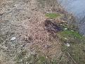 Нажмите на изображение для увеличения.

Название:	20140302_085615.jpg
Просмотров:	963
Размер:	197.0 Кб
ID:	3659167