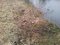 Нажмите на изображение для увеличения.

Название:	20140302_085642.jpg
Просмотров:	892
Размер:	204.1 Кб
ID:	3659170