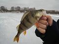 Нажмите на изображение для увеличения.

Название:	IMG_2578 [640x480].JPG
Просмотров:	1469
Размер:	40.7 Кб
ID:	3660979
