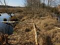 Нажмите на изображение для увеличения.

Название:	IMG_1153.jpg
Просмотров:	675
Размер:	122.0 Кб
ID:	3661393