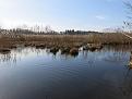 Нажмите на изображение для увеличения.

Название:	IMG_1155.jpg
Просмотров:	680
Размер:	46.4 Кб
ID:	3661394
