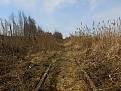 Нажмите на изображение для увеличения.

Название:	IMG_1156.jpg
Просмотров:	655
Размер:	95.1 Кб
ID:	3661395