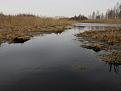 Нажмите на изображение для увеличения.

Название:	IMG_1164.jpg
Просмотров:	672
Размер:	45.6 Кб
ID:	3661397
