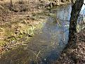 Нажмите на изображение для увеличения.

Название:	IMG_1201.jpg
Просмотров:	585
Размер:	136.7 Кб
ID:	3661409