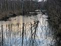 Нажмите на изображение для увеличения.

Название:	IMG_1266.jpg
Просмотров:	1055
Размер:	115.2 Кб
ID:	3661426