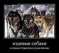 Нажмите на изображение для увеличения.

Название:	2952232.jpg
Просмотров:	633
Размер:	44.1 Кб
ID:	3662218