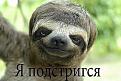 Нажмите на изображение для увеличения.

Название:	01.jpg
Просмотров:	1263
Размер:	40.4 Кб
ID:	3662872