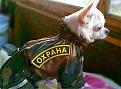 Нажмите на изображение для увеличения.

Название:	7..jpg
Просмотров:	1294
Размер:	53.9 Кб
ID:	3662879