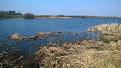 Нажмите на изображение для увеличения.

Название:	WP_20140324_012.jpg
Просмотров:	789
Размер:	193.7 Кб
ID:	3663014