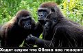 Нажмите на изображение для увеличения.

Название:	016.jpg
Просмотров:	1303
Размер:	75.3 Кб
ID:	3663613