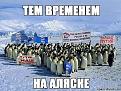 Нажмите на изображение для увеличения.

Название:	030.jpg
Просмотров:	1290
Размер:	81.9 Кб
ID:	3663620