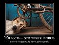 Нажмите на изображение для увеличения.

Название:	foto-too130966.jpg
Просмотров:	1265
Размер:	52.0 Кб
ID:	3666199