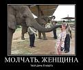 Нажмите на изображение для увеличения.

Название:	getImage.jpg
Просмотров:	1423
Размер:	39.8 Кб
ID:	3666486