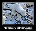 Нажмите на изображение для увеличения.

Название:	lf3euh.jpg
Просмотров:	1281
Размер:	47.7 Кб
ID:	3666674