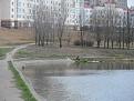 Нажмите на изображение для увеличения.

Название:	SAM_2365.jpg
Просмотров:	1747
Размер:	162.1 Кб
ID:	3667840