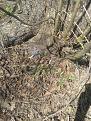 Нажмите на изображение для увеличения.

Название:	20140419_124924.jpg
Просмотров:	1430
Размер:	201.7 Кб
ID:	3668847