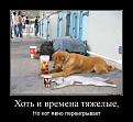 Нажмите на изображение для увеличения.

Название:	10256910_1467230173509957_4501238404982692295_&#1044;.jpg
Просмотров:	1331
Размер:	31.7 Кб
ID:	3669254