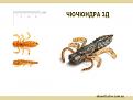 Нажмите на изображение для увеличения.

Название:	чючюндра зд.jpg
Просмотров:	505
Размер:	125.2 Кб
ID:	3670902