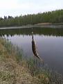 Нажмите на изображение для увеличения.

Название:	20140427_124947.jpg
Просмотров:	747
Размер:	104.0 Кб
ID:	3671241