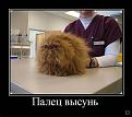 Нажмите на изображение для увеличения.

Название:	1264732675_0001.jpg
Просмотров:	1231
Размер:	54.5 Кб
ID:	3672043