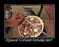 Нажмите на изображение для увеличения.

Название:	12369811887.jpg
Просмотров:	1280
Размер:	64.9 Кб
ID:	3672047