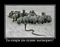 Нажмите на изображение для увеличения.

Название:	55625491713.jpg
Просмотров:	1394
Размер:	82.4 Кб
ID:	3672048