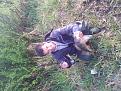 Нажмите на изображение для увеличения.

Название:	20140509_061630.jpg
Просмотров:	841
Размер:	209.6 Кб
ID:	3673127