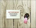 Нажмите на изображение для увеличения.

Название:	10.jpg
Просмотров:	1212
Размер:	54.5 Кб
ID:	3675053