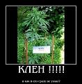 Нажмите на изображение для увеличения.

Название:	18.jpg
Просмотров:	1267
Размер:	33.8 Кб
ID:	3675059
