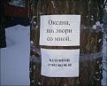 Нажмите на изображение для увеличения.

Название:	4.jpg
Просмотров:	1098
Размер:	42.6 Кб
ID:	3676986