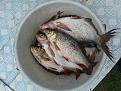 Нажмите на изображение для увеличения.

Название:	20140531_170748.jpg
Просмотров:	626
Размер:	113.5 Кб
ID:	3678137