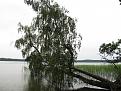 Нажмите на изображение для увеличения.

Название:	IMG_0604.jpg
Просмотров:	620
Размер:	199.8 Кб
ID:	3678795