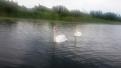 Нажмите на изображение для увеличения.

Название:	20140608_151611.jpg
Просмотров:	549
Размер:	172.4 Кб
ID:	3679454