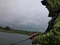 Нажмите на изображение для увеличения.

Название:	IMG_20140615_133147.jpg
Просмотров:	568
Размер:	92.9 Кб
ID:	3680331