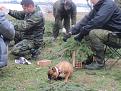 Нажмите на изображение для увеличения.

Название:	&#1075;&#1085;&#1077;&#1079;&#1076;&#1072; (8).jpg
Просмотров:	604
Размер:	197.4 Кб
ID:	3681200