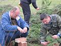 Нажмите на изображение для увеличения.

Название:	&#1075;&#1085;&#1077;&#1079;&#1076;&#1072; (9).jpg
Просмотров:	594
Размер:	193.2 Кб
ID:	3681201