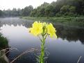 Нажмите на изображение для увеличения.

Название:	IMG_5478.JPG
Просмотров:	935
Размер:	107.0 Кб
ID:	3686726