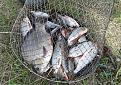 Нажмите на изображение для увеличения.

Название:	20140720_104601.jpg
Просмотров:	1213
Размер:	107.0 Кб
ID:	3687300