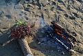 Нажмите на изображение для увеличения.

Название:	109.jpg
Просмотров:	1618
Размер:	200.3 Кб
ID:	3687991