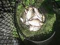 Нажмите на изображение для увеличения.

Название:	20140717_132518.jpg
Просмотров:	1002
Размер:	201.3 Кб
ID:	3688033