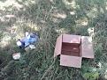 Нажмите на изображение для увеличения.

Название:	1407058071526.jpg
Просмотров:	547
Размер:	28.2 Кб
ID:	3690025