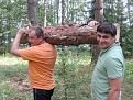Нажмите на изображение для увеличения.

Название:	&#1073;&#1088;&#1077;&#1074;&#1085;&#1086;.jpg
Просмотров:	652
Размер:	201.6 Кб
ID:	3690058