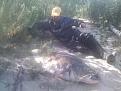 Нажмите на изображение для увеличения.

Название:	IMG007.jpg
Просмотров:	1840
Размер:	111.2 Кб
ID:	3690169