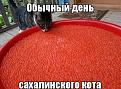 Нажмите на изображение для увеличения.

Название:	2493247.jpg
Просмотров:	1239
Размер:	89.4 Кб
ID:	3690297