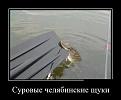 Нажмите на изображение для увеличения.

Название:	lOMYMe9D2u8.jpg
Просмотров:	1195
Размер:	34.7 Кб
ID:	3690305