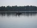 Нажмите на изображение для увеличения.

Название:	IMG_3762.jpg
Просмотров:	1348
Размер:	87.2 Кб
ID:	3690420