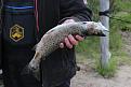 Нажмите на изображение для увеличения.

Название:	IMG_0712.jpg
Просмотров:	896
Размер:	92.6 Кб
ID:	3690517