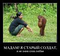 Нажмите на изображение для увеличения.

Название:	123.jpg
Просмотров:	1331
Размер:	159.7 Кб
ID:	3690705