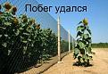 Нажмите на изображение для увеличения.

Название:	04.jpg
Просмотров:	1381
Размер:	53.8 Кб
ID:	3690994